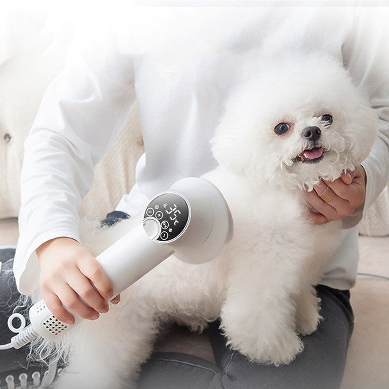 Smart Pet Hair Dryer Dog Golden Retriever Cat Grooming Hairdressing Blow & Comb Silent No